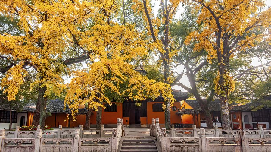 西园寺