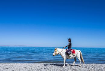 青海湖景区一日游【纯玩无购物8人内纯玩小团[市区上门接送]】【1人可定，8人内精品团，市区上门接送，出行更舒适。】