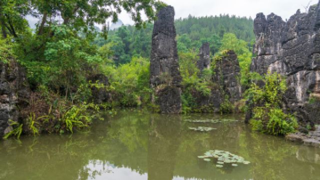 水上石林区