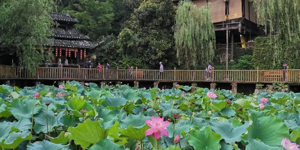 永安旅遊