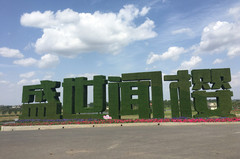 安陆游记图片] 盛世闻樱攻略