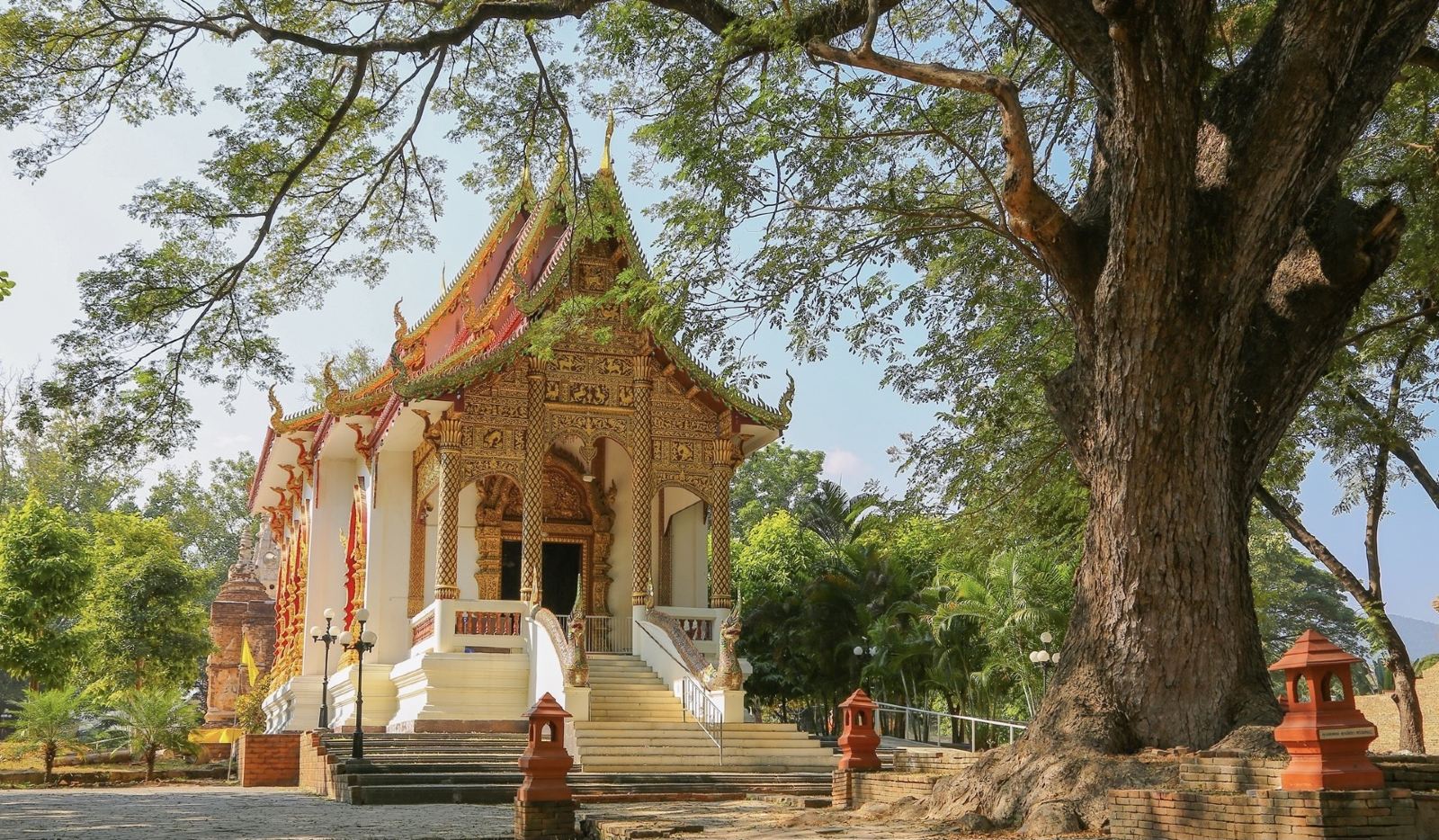 泰国清迈 界遥寺 วัดเจ็ดยอด