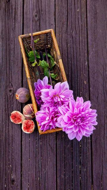 左岸咖啡(郧阳路店)