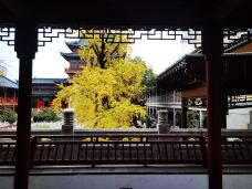 毗卢寺-南京-魔女锦鲤