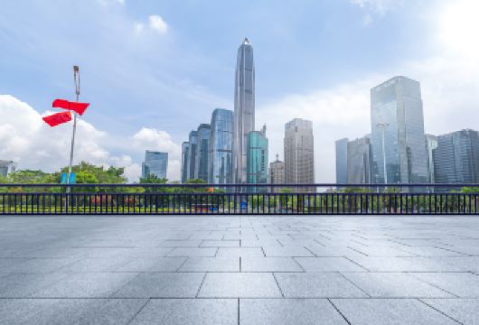 深圳莲花山公园+深圳《大潮起珠江》+深圳湾公园一日活动【[行程亮点]主题红色革命：瞻仰革命旧址、缅怀革命先烈，追忆红色记忆、体验红色感动】