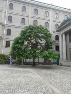 汕头邮政总局大楼-汕头-行走毛毛