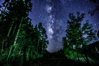 3天2晚探访邛崃秘境，牵手爱人共享林间24℃的清凉！