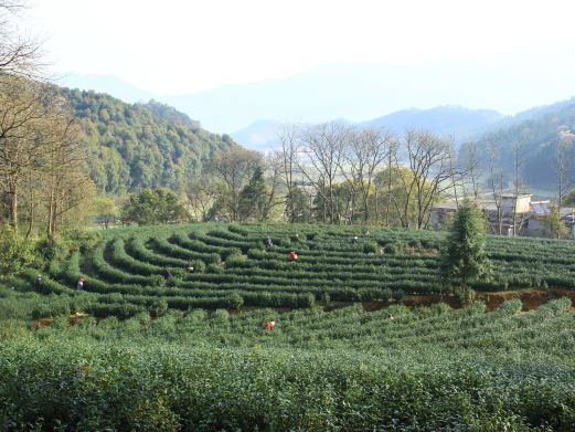 长乐庵风景区