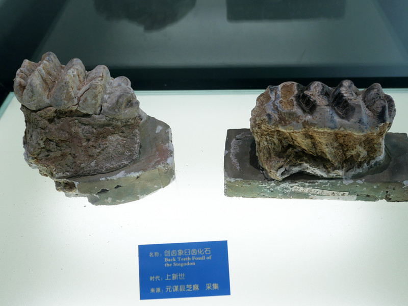 昆明旅游网