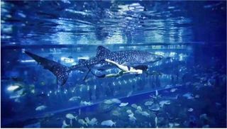 浩海立方·海滨城一日游