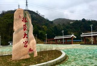 乡游黔中·龙里县 大岩村丨摘草莓，观根雕，感悟灵秀村庄之美