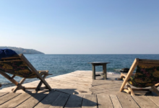 Butterfly Space景点图片