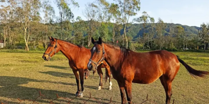 花蓮縱穀休閑農場