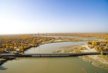 塔里木河特大桥景点图片