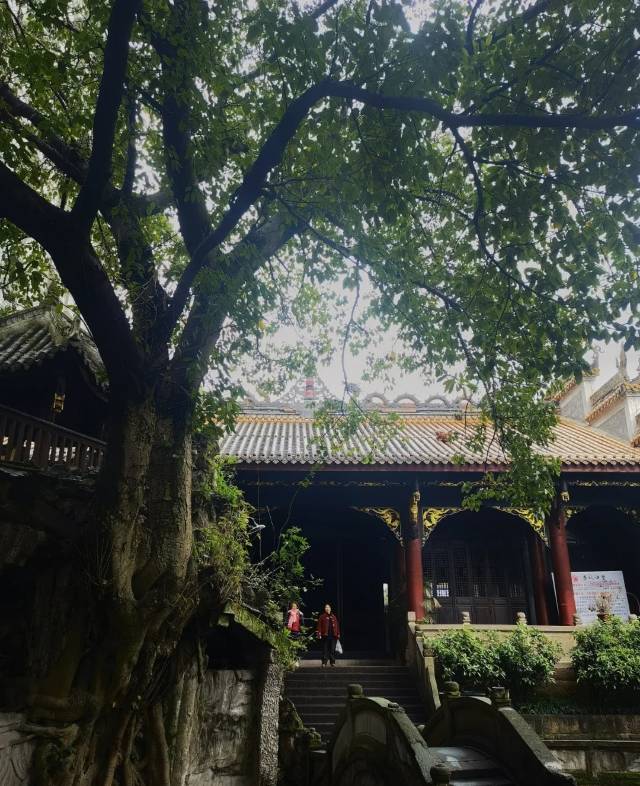 2-Day Xuyong Tour: The natural wonders of Huangjing Old Forest, the grandeur of Jiming Three Provinces Grand Canyon