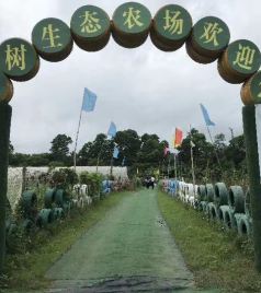 石岩游记图文-深圳中秋团建终极攻略||周末团建一日游