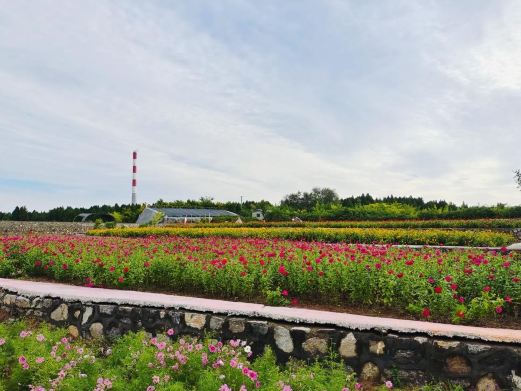 花间小筑风景区