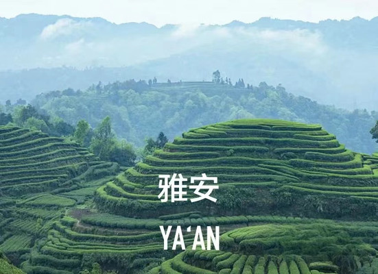 雅安名山 皆是美好