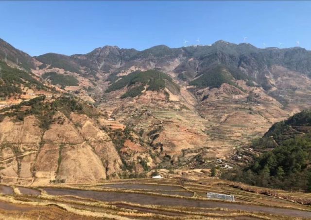 新山梯田旅行图片 1