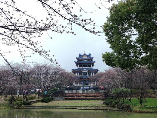 太湖鼋头渚风景区-赏樱楼