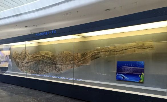 Gallery 1
