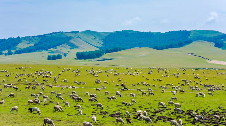 3-day 2-night · Private Tour · China + Inner Mongolia + Chifeng + Wulanbutong Steppe Tourist Area + Mulan Weichang (“Hunting Ground”)