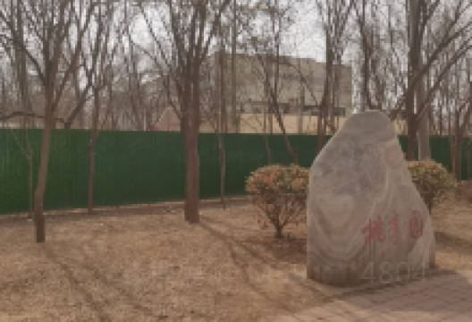 桃李园景点图片