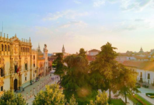 阿尔卡拉大学景点图片