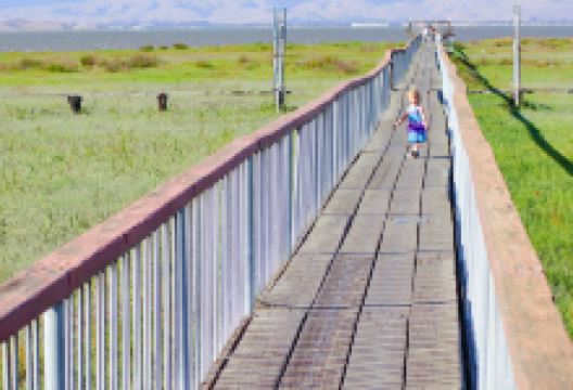 Sunnyvale Baylands Park景点图片