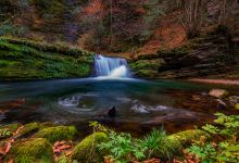 黎坪森林公园景点图片