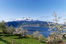 皮拉图斯山-阿尔卑纳赫