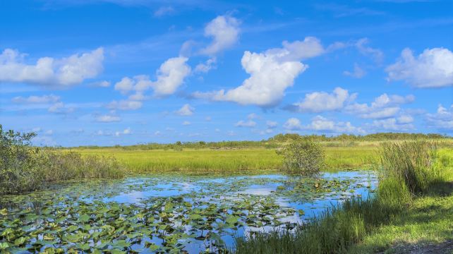 4-Day Miami Tour·Key West, South Beach, Everglades, Wynwood Walls, Miami Beach | Small Group