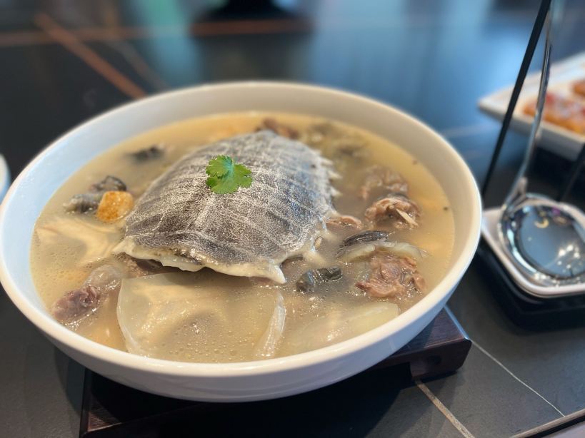 Gallery 3
