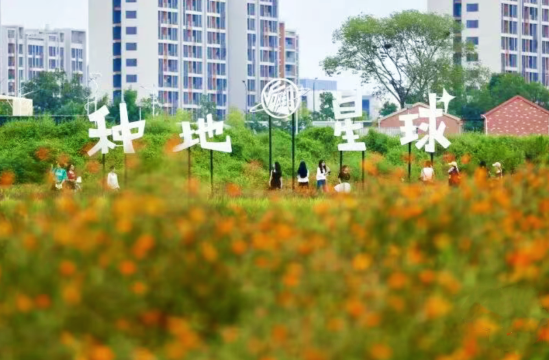 后陡门种地星球