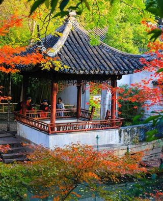 雨水“滤镜”加持，成都、杭州、浙江，风景美如画