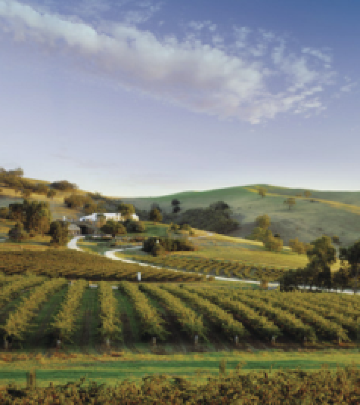 芭萝莎游记图文-南澳芭萝莎|开启小众旅游模式，深度探索澳大利亚红酒背后的故事