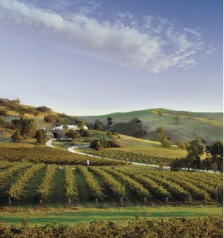 南澳芭萝莎|开启小众旅游模式，深度探索澳大利亚红酒背后的故事