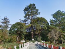 经律论文化旅游小镇-韶关-ct****4