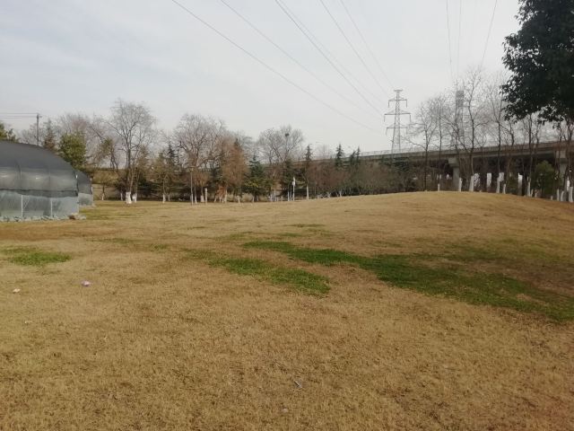 府河郊野公园旅行图片 7