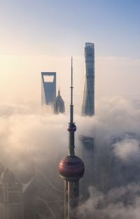 上海2日1晚跟团游图片