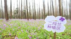 东平国家森林公园-上海-C-IMAGE