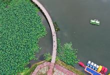 映月湖公园景点图片
