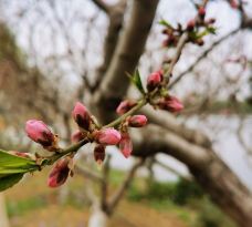 杨浦公园-上海-Mike达