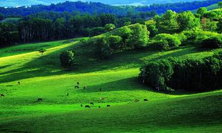 【亲子穿越】2021年夏季亲子草原行,带上装备穿越云慢疏林大草原
