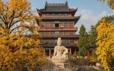 毗卢寺-南京-夏吹夏夜风