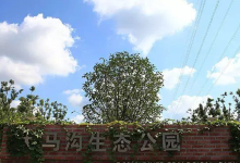 大马沟生态公园景点图片