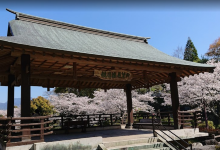 菊池公園景点图片