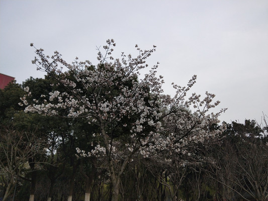 大运河，常州的母亲河