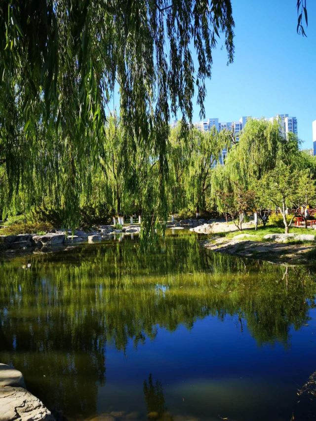 北京国际雕塑公园旅行图片 6