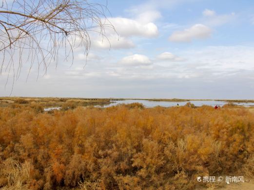 新疆东道海子沙漠风光旅游区